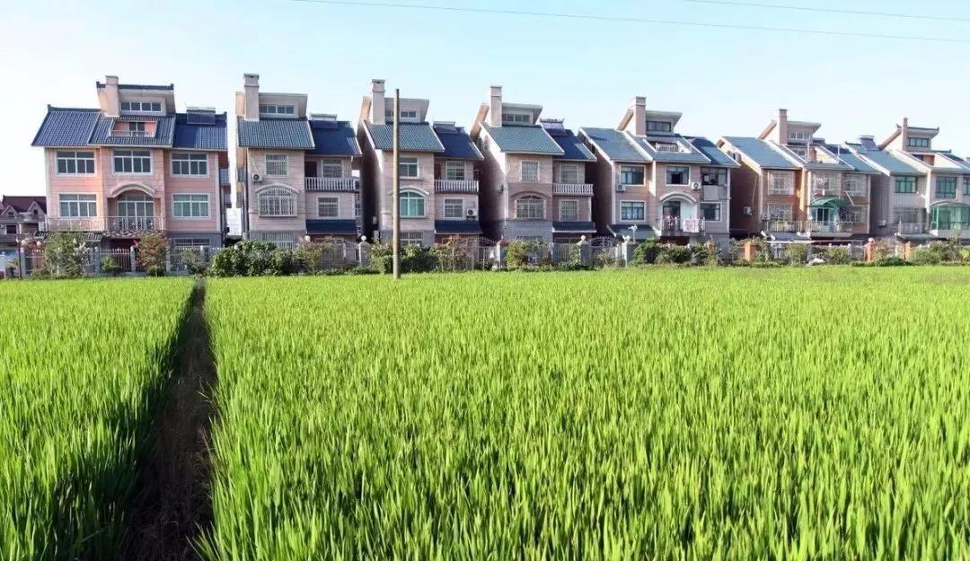 各大企業(yè)進入裝配式輕鋼行業(yè)的真相竟然是...(圖5) 各大企業(yè)進入裝配式輕鋼行業(yè)的真相竟然是...(圖5)